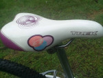 Trek MT220 24" Bike Bicycle Womens Teens