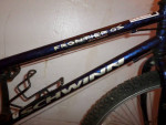 Schwinn Frontier