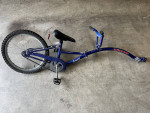 Pathfinder Youth Trailer Bike