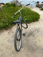 Restored Beach Cruiser