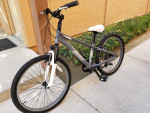 DIAMONDBACK 225 STP BMX TIRE 24