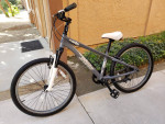 DIAMONDBACK 225 STP BMX TIRE 24