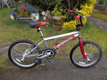 Schwinn,kids,freestyle,11"Al.(chrome)frame,pegs,20x2.125,BMX bike