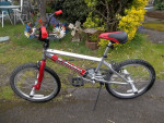 Schwinn,kids,freestyle,11"Al.(chrome)frame,pegs,20x2.125,BMX bike