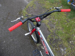 Schwinn,kids,freestyle,11"Al.(chrome)frame,pegs,20x2.125,BMX bike