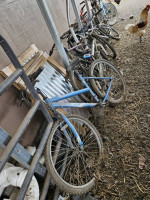 Bikes