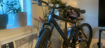 Mens Mountain bike Genesis
