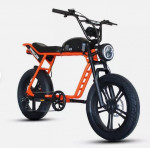 Going out of Business! Electric Bike eBike