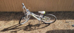 Trek MT 200 youth Bicycle