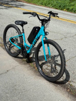 Specialized Roll Electric Ebike