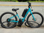 Specialized Roll Electric Ebike