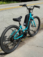 Specialized Roll Electric Ebike