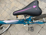 Schwinn girls bicycle 16”