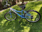 Avalon Woman’s Bike