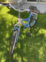 Avalon Woman’s Bike