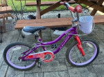 Schwinn Elm Bike