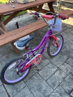Schwinn Elm Bike