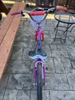 Schwinn Elm Bike