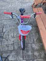 Schwinn Elm Bike