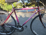 19in Med Univega Campus Commuter   Bike