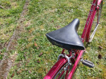 Vintage Schwinn 3 Speed (project)