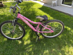 Diamond Back Girls Bike