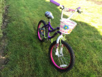 18” girls bike