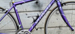SPECIALIZED DOLCE ROAD BIKE