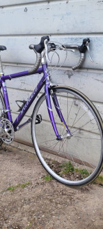 SPECIALIZED DOLCE ROAD BIKE