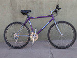 Wheeler Comp Line Prestige 26" Steel X-Bike