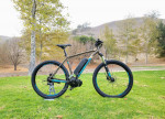 New Custom 37MPH Polygon Premier e-bike