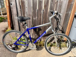 Specialized Large