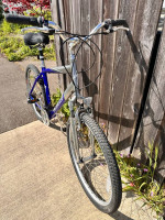 Specialized Large