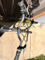 Specialized Large