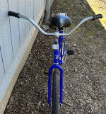Trek Classic Cruiser bike