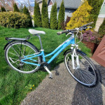 VERZA Path FELT.BIKE