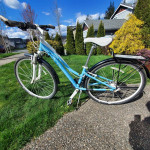 VERZA Path FELT.BIKE