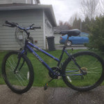 MAGNA MTN TAMER BIKE