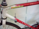 The Magnificent Centurion Dave Scott IronmanExpert