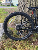 Specialized rockhopper 2021