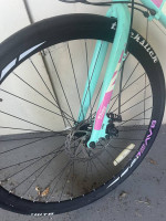 Bavel CXRO Crosslite Road Bike