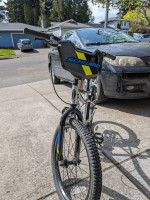 20 in Schwinn fenite 20