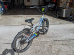 20 in Schwinn fenite 20