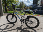 20 in Schwinn fenite 20