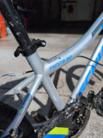 20 in Schwinn fenite 20