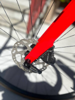 Canyon Endurance CF 7