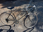 Schwinn bikes
