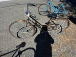 Schwinn bikes