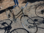 Schwinn bikes