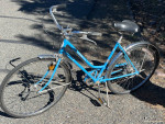Schwinn Collegiate